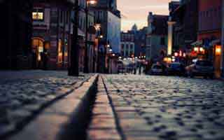 高价“网红黑梨”，是什么来头？专家揭秘