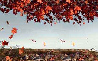 【最新进展！泰媒爆料：泰柬双方的今日谈判持续仅半小时？】12月24日，据泰国公共广播服务公司报道，泰国和柬埔寨24日在泰国尖竹汶府就停止边境冲突和恢复停火协议开展的谈判仅持续了半个多小时，随后柬埔寨代表团返回了与泰国相邻的拜林省。报道称：“12月24日在尖竹汶府举行的泰柬边界总委员...