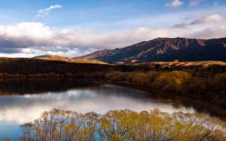 成都「东安湖1号」最新置业咨询：实时房价动态、项目核心优势与短板深度剖析，12月市场热点资讯速递。