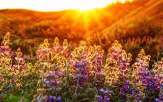 新爱泼斯坦文件曝光比尔·盖茨更多黑料，前妻回应